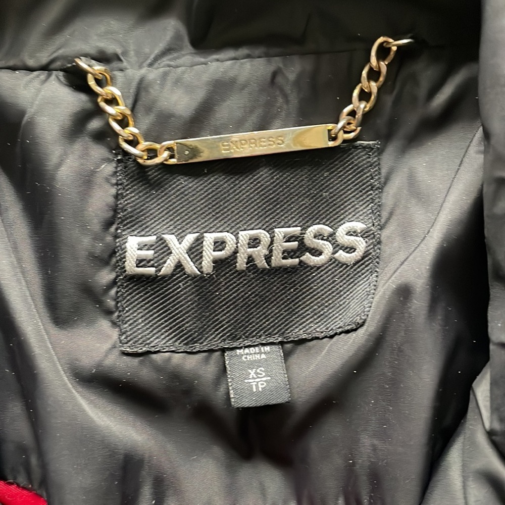 Express Winter Jacket - Picture 4 of 11